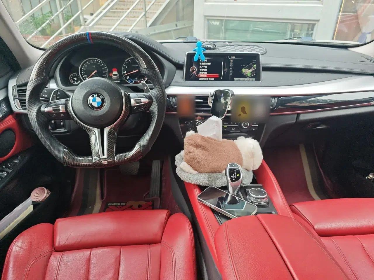 BMW X6 2017 xDrive35i Leading Model — миниатюра 9
