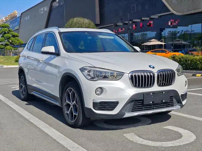 BMW X1 2019 xDrive20Li Luxury — миниатюра 3