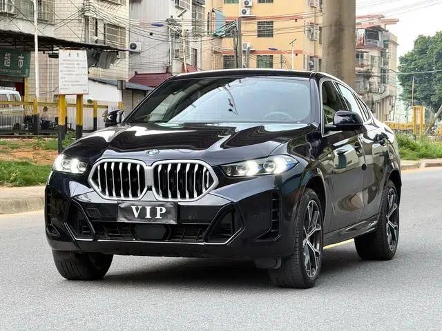 BMW X6 2023 xDrive40i Luxury M Sport Package