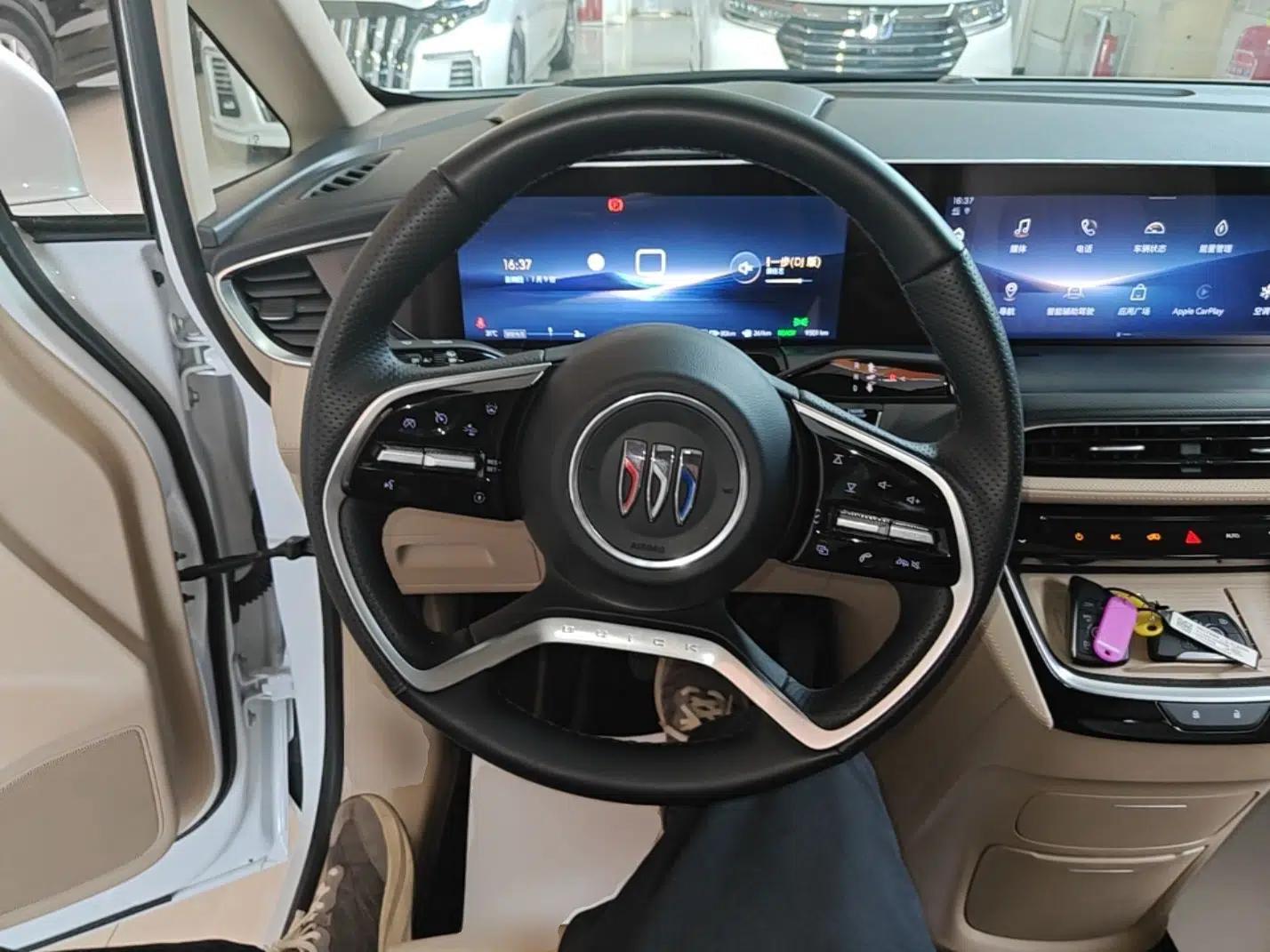Buick GL8 New Energy 2025 Lu Shang Luxury Edition 7-Seater — миниатюра 13