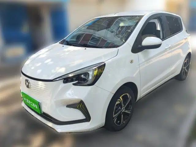 CHANGAN Benni E-Star 2020 Heartbeat Edition NMC Lithium
