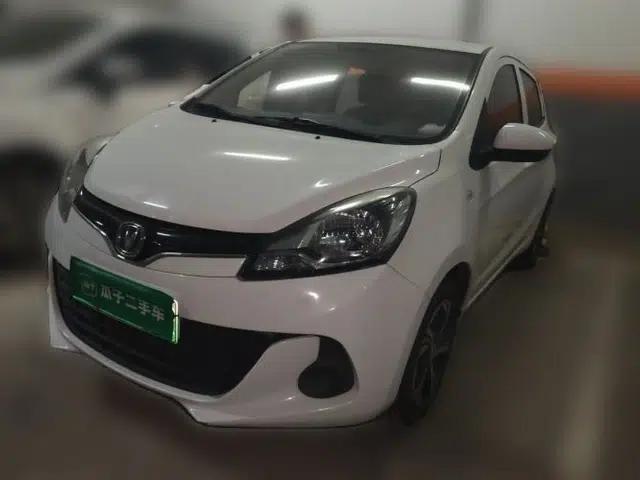 CHANGAN Benni E-Star 2021 National Edition Heart-Pounding Edition Lithium Iron Phosphate