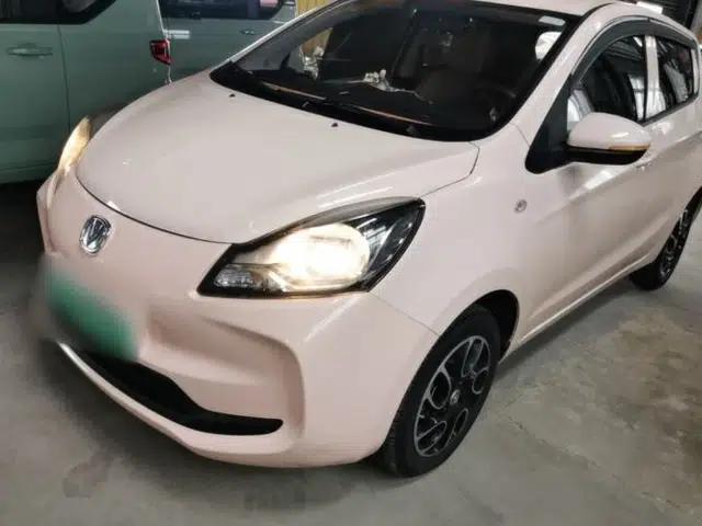 CHANGAN Benni E-Star 2021 National Edition Colorful Version Lithium Iron Phosphate (31.86 kWh)