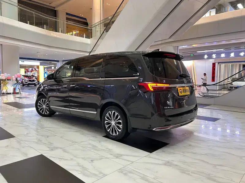 Buick GL8 2021 Land Business Class 652T Luxury — миниатюра 4