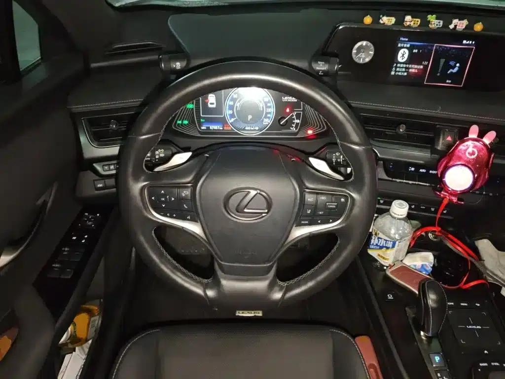 Lexus UX PHEV 2020 300e Pure Enjoyment Edition — миниатюра 7