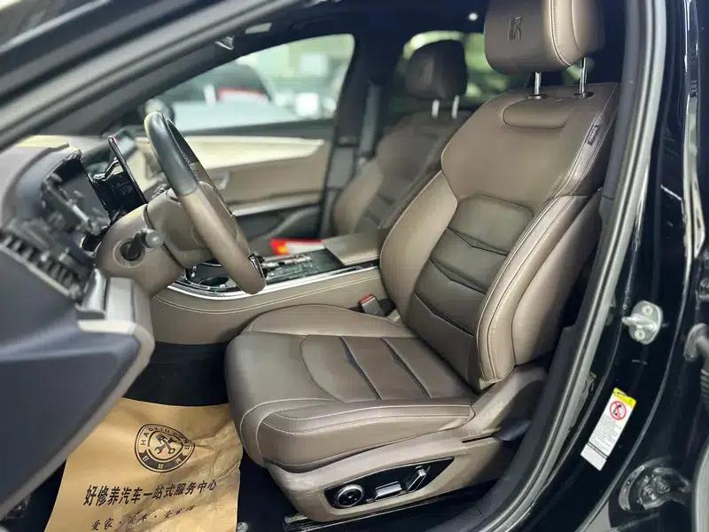 Han DM 2020 DM 4WD Performance Luxury Edition — миниатюра 8