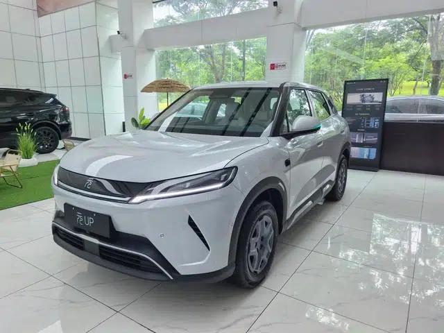 Yuan UP 2025 Smart Driving Edition 401KM Vitality Edition