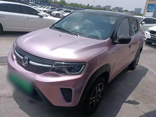Dongfeng NAMMI EX1 2022 Revised PRO Enjoyment Version