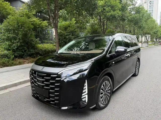 Summer 2025 DM-i 180KM Excellence