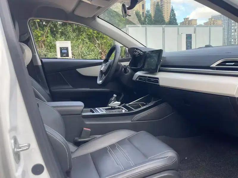 Qin EV 2020 Long Range Premium Edition — миниатюра 21