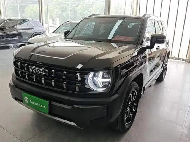 Haval X DOG 2022 1.5T DCT Four-Wheel Drive Trendy Wild Edition