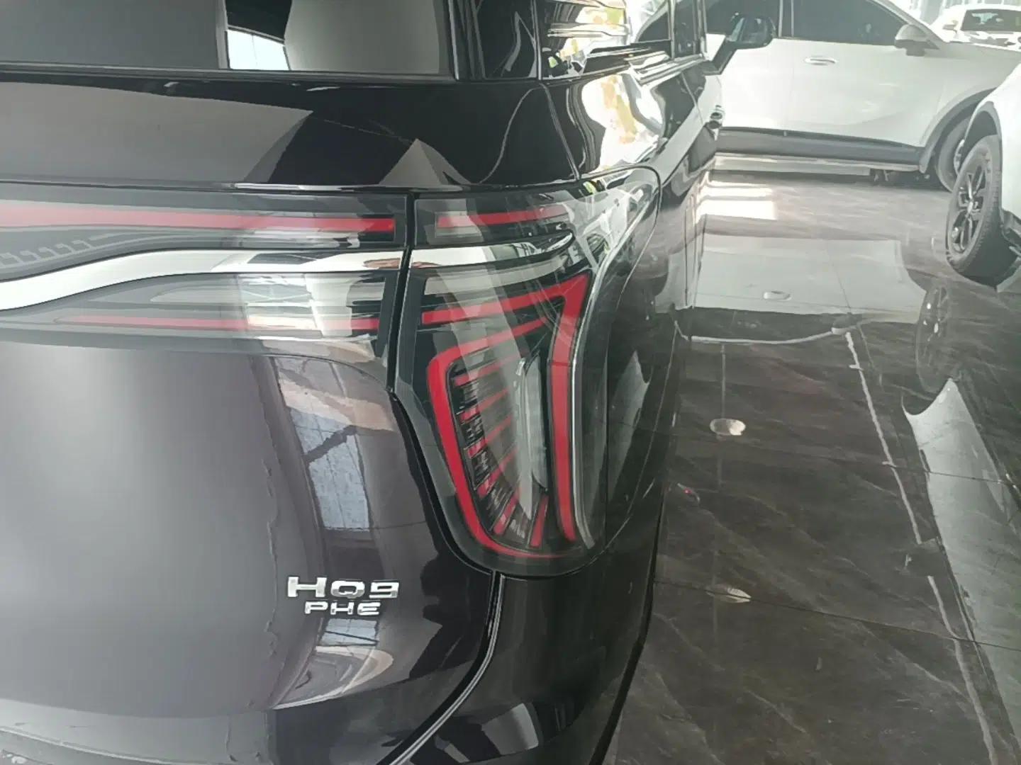 Hongqi HQ9 PHEV 2024 2.0T Four-Wheel Drive Flagship Edition — миниатюра 14