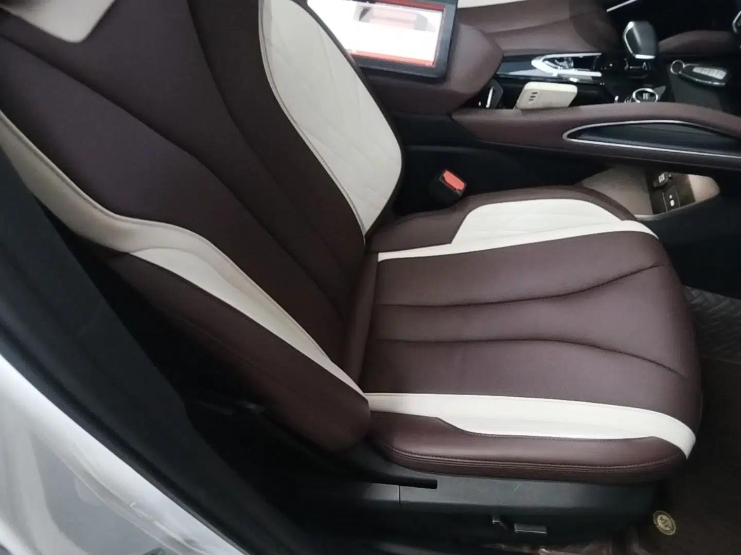 Geely Auto Monjaro L 2024 2.0TD High-Power Automatic Two-Wheel Drive Yunqi Version — миниатюра 19