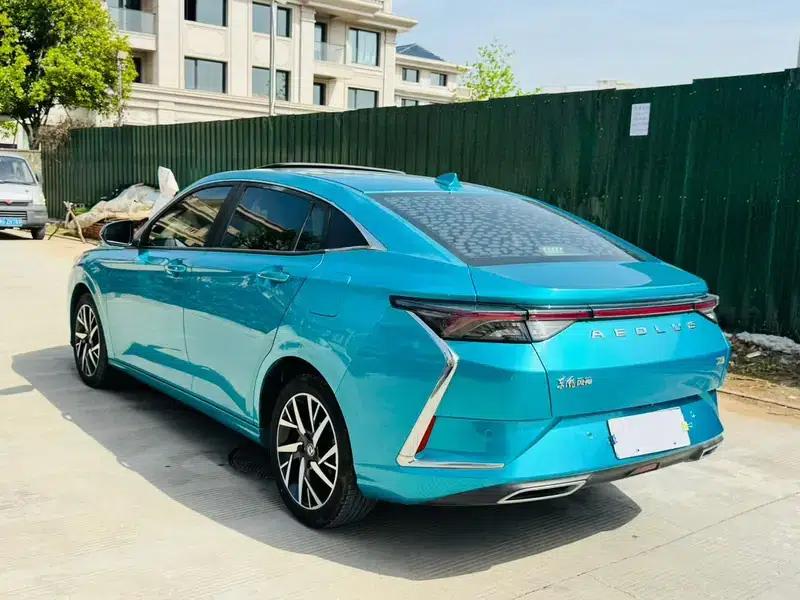 Aeolus Yixuan 2020 230T Automatic Cool Edition — миниатюра 4