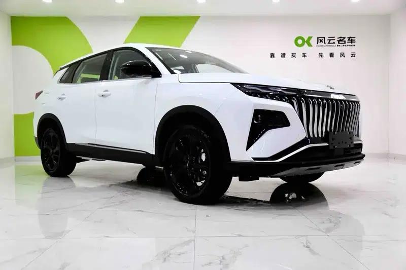 Haoji 2025 Model Mach Power 1.5T Luxury Edition — миниатюра 3