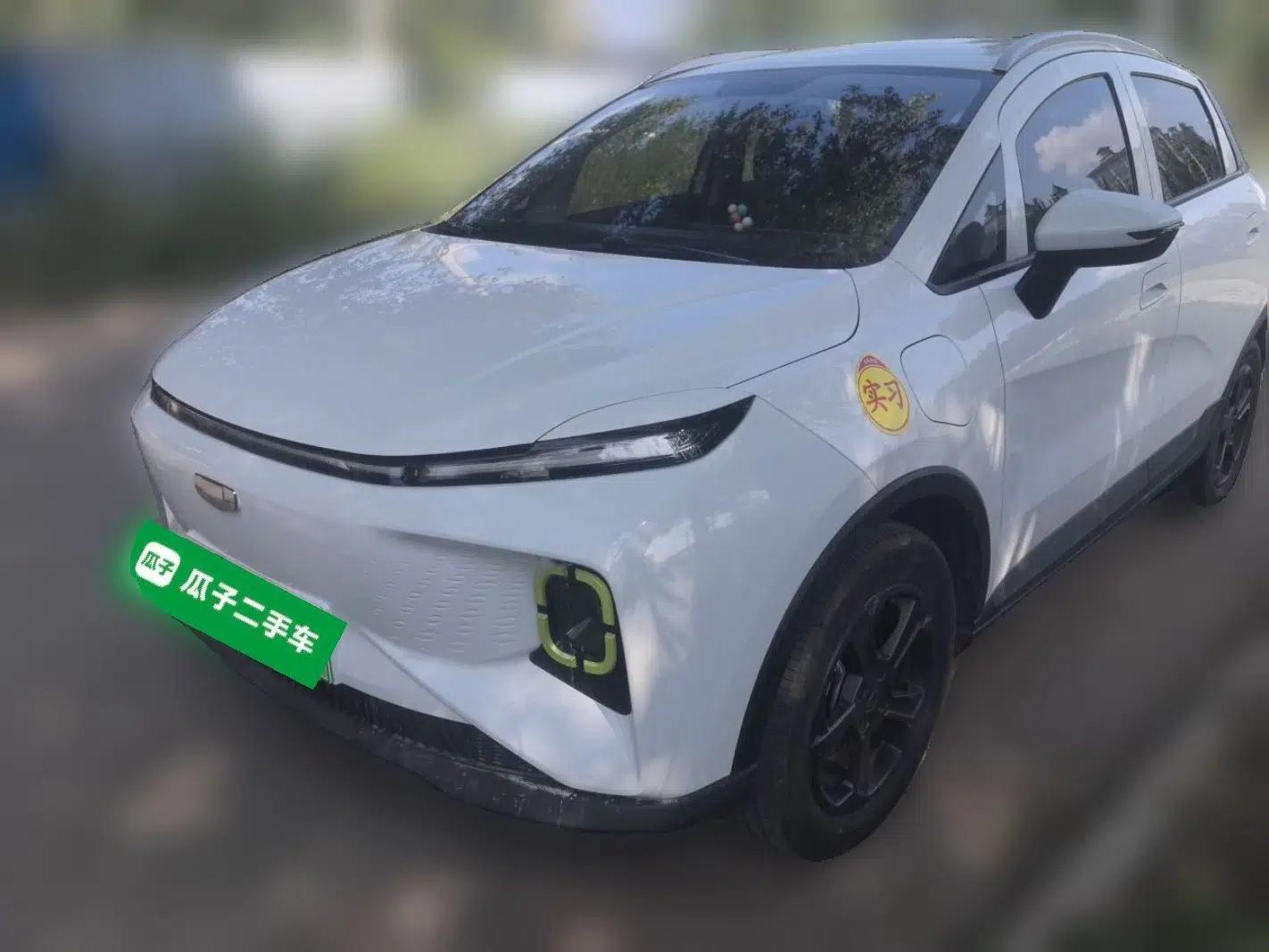 Geometry E Firefly 2023 320KM Cute & Handsome Tiger 5 Seats — миниатюра 1
