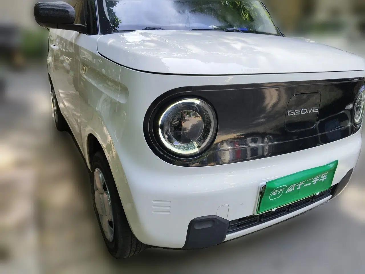 Geely Galaxy Panda 2023 Panda Mini 200km Endurance Bear — миниатюра 3