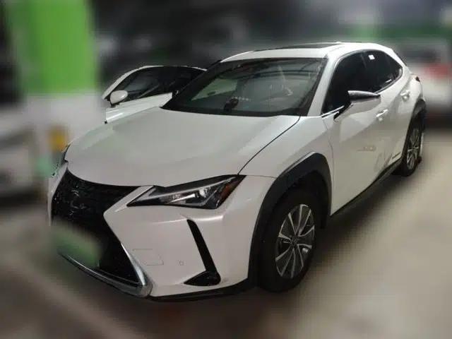 Lexus UX New Energy 2020 300e Pure·Joy Edition