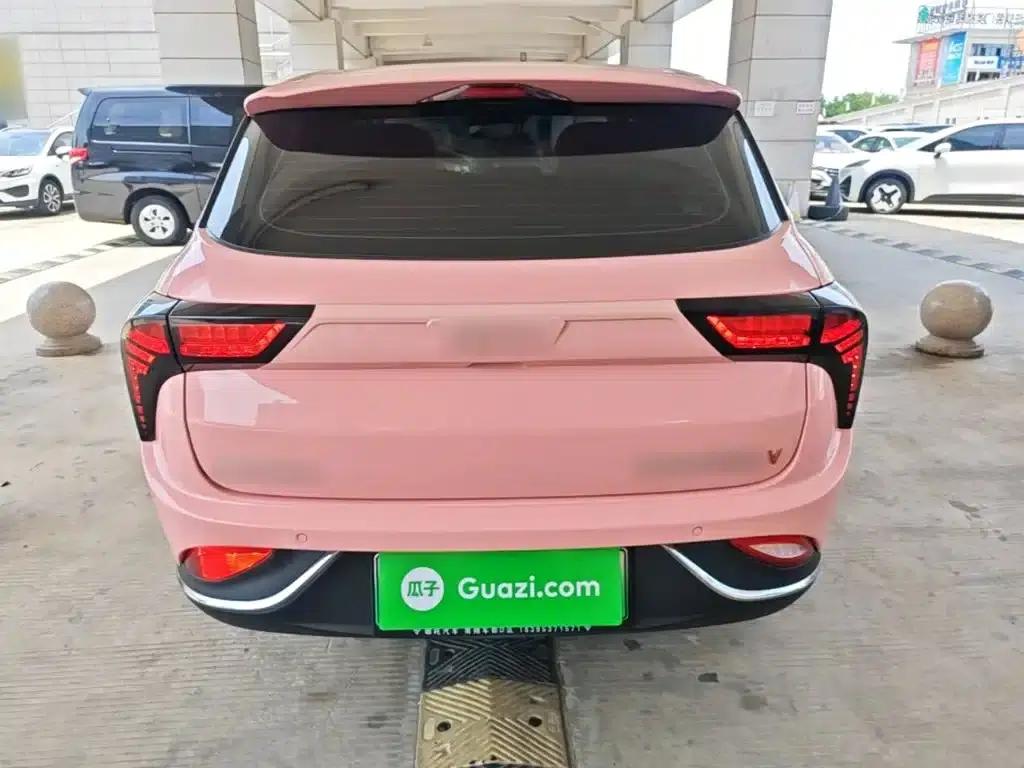 Nezha V 2022 Trendy 400 Lite Pink Custom Edition — миниатюра 6