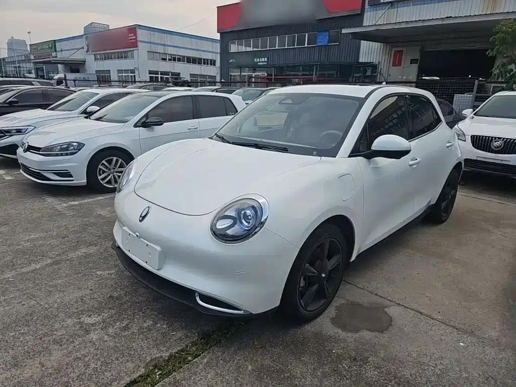 ORA Good Cat 2024 Model 401km Luxury — миниатюра 2