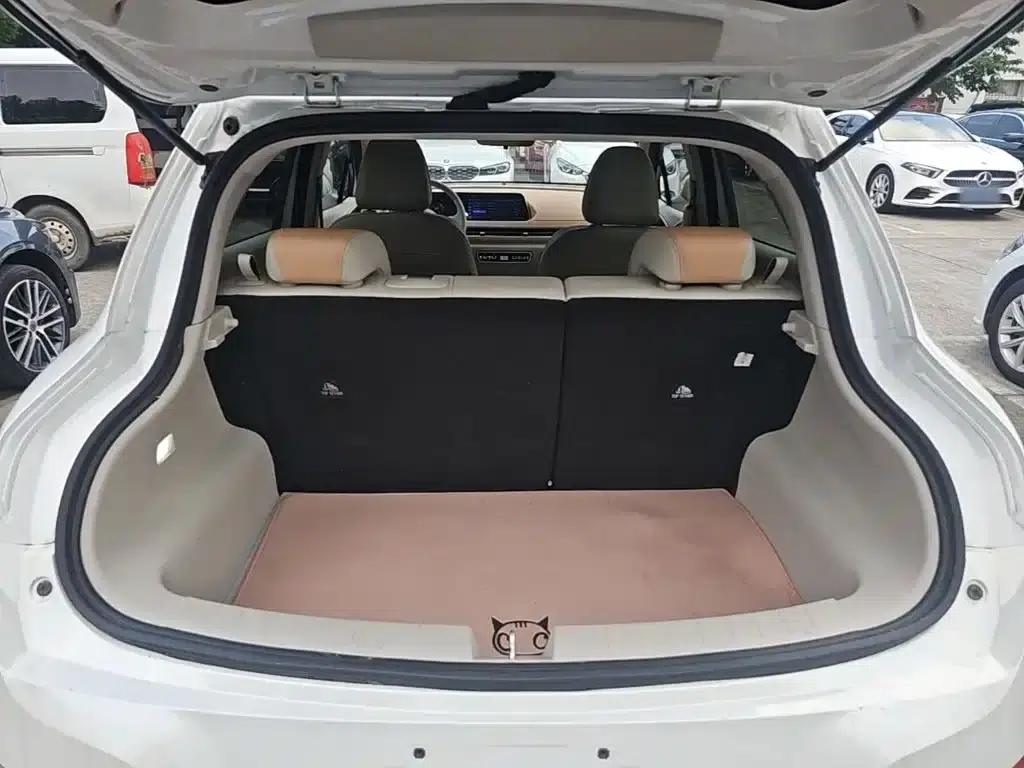 ORA Good Cat 2024 Model 401km Luxury — миниатюра 19