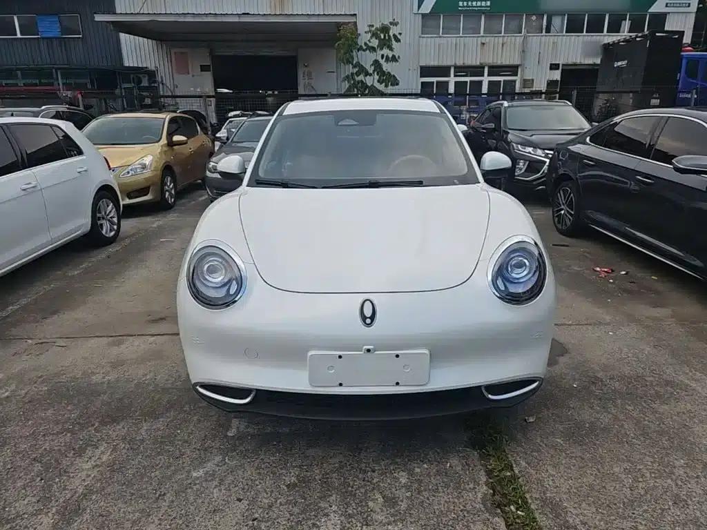 ORA Good Cat 2024 Model 401km Luxury — миниатюра 3