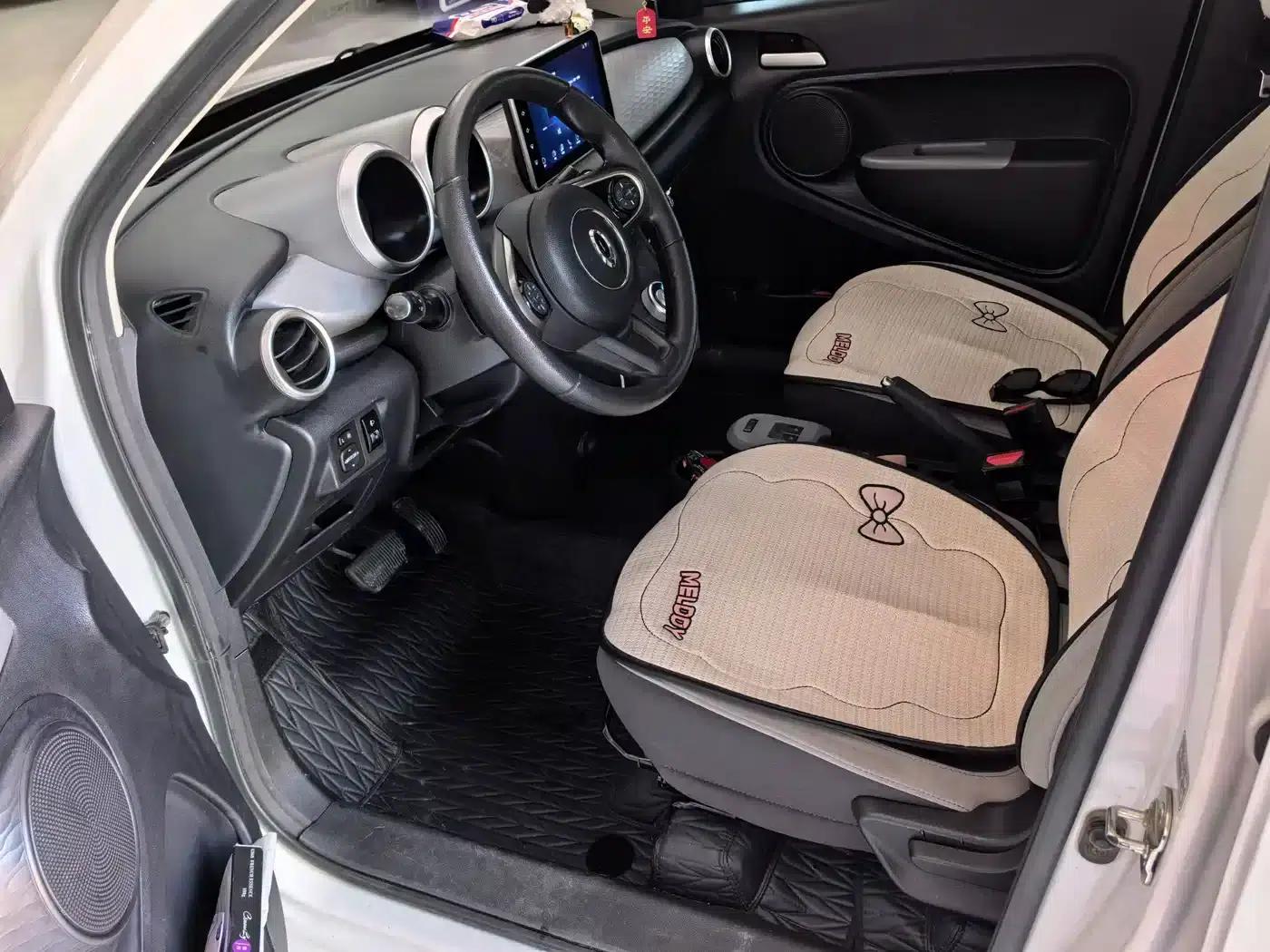 ORA Black Cat 2021 Model 301km Pet Edition — миниатюра 4