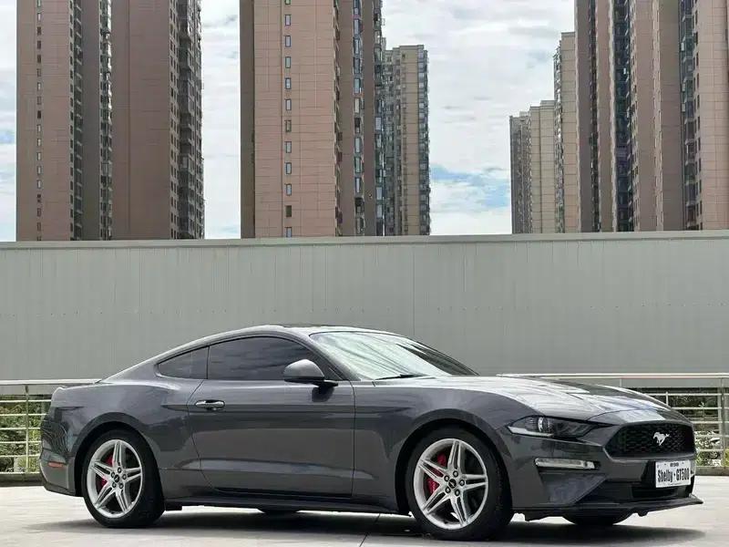 2019 Mustang 2.3T EcoBoost Performance Enhanced Edition — миниатюра 3