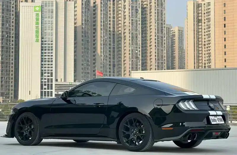 2019 Mustang 2.3T EcoBoost — миниатюра 5