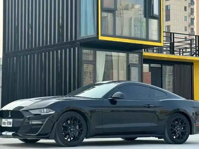 2019 Mustang 2.3T EcoBoost
