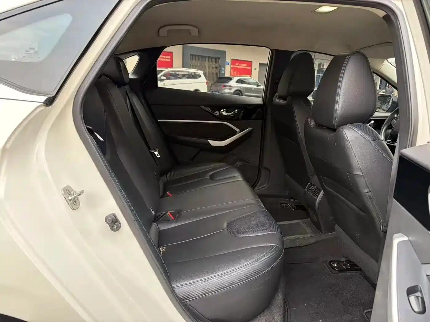 Venucia D60EV 2020 Standard Range Smart Edition — миниатюра 11