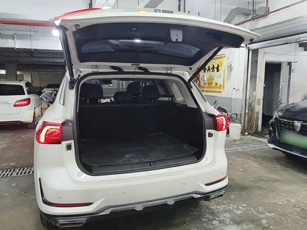 Roewe RX5 eMAX 2022 1.5T PHEV Fearless Premium Edition — миниатюра 19