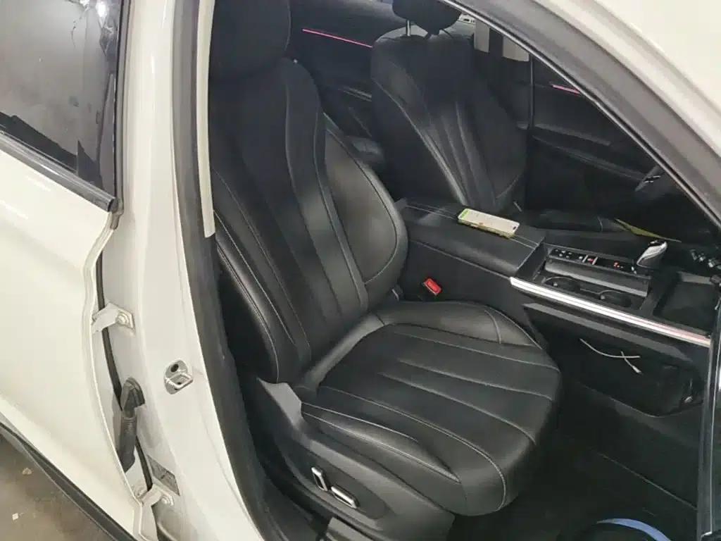 Roewe RX5 eMAX 2022 1.5T PHEV Fearless Premium Edition — миниатюра 25