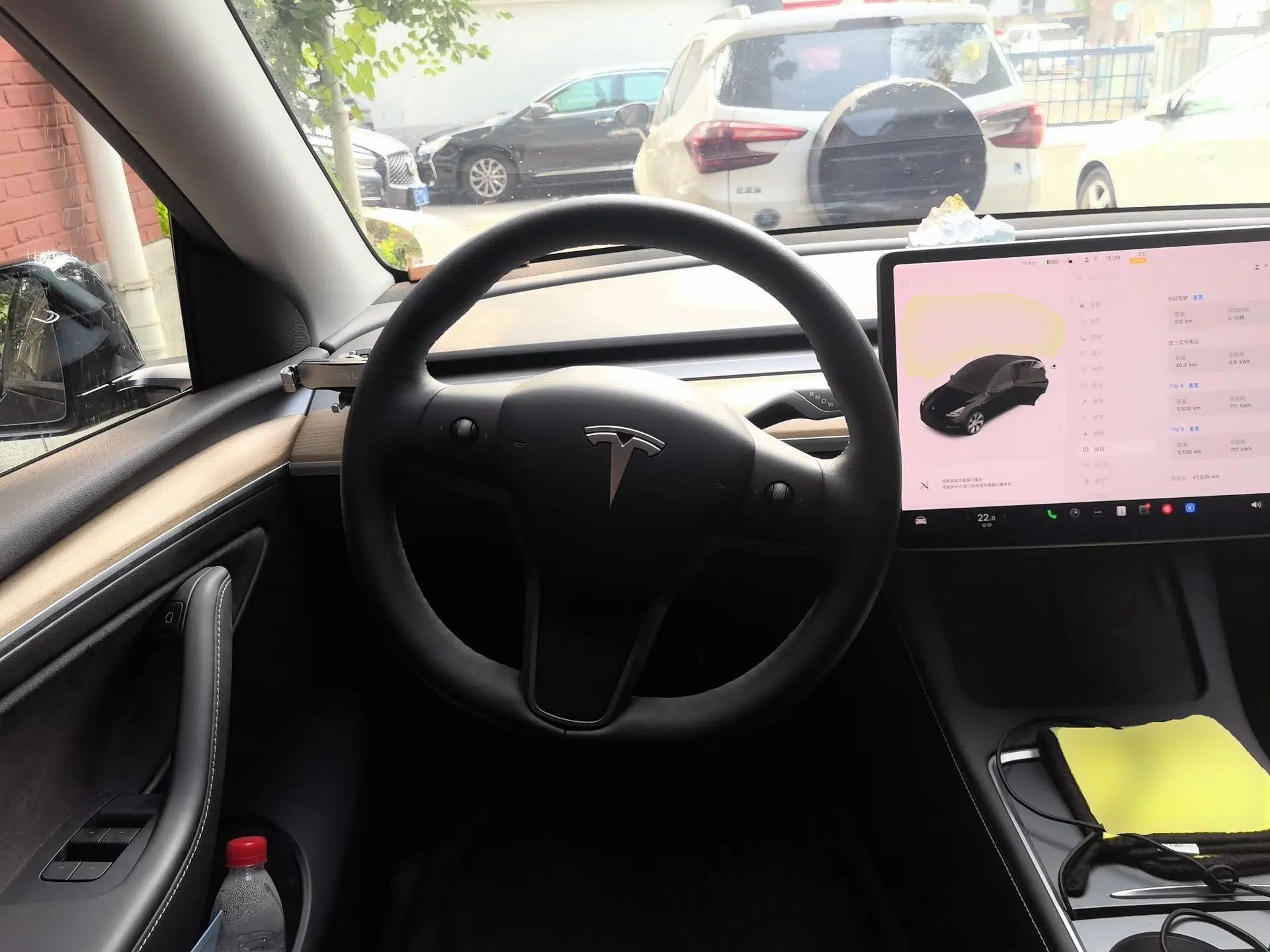 Tesla Model Y 2021 Standard Range Rear-Wheel Drive Version — миниатюра 10