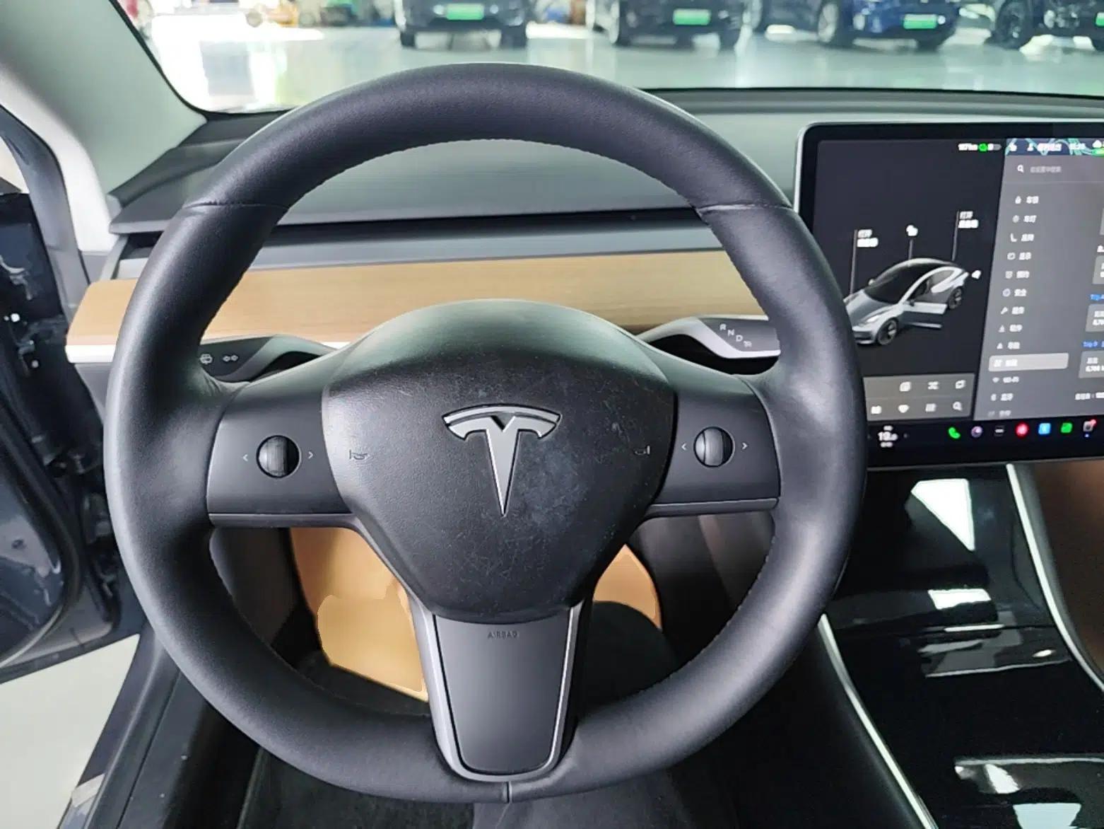 Tesla Model 3 2019 Long-Range Rear-Wheel-Drive Version — миниатюра 13