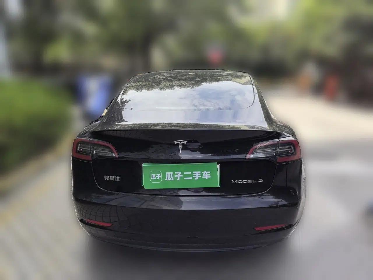 Tesla Model 3 2022 Rear-Wheel-Drive Version — миниатюра 3