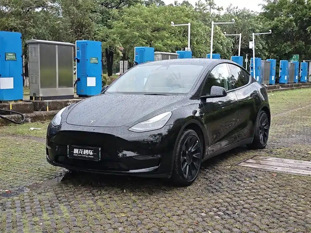 Model Y 2021 Standard Range Rear-Wheel Drive — миниатюра 1