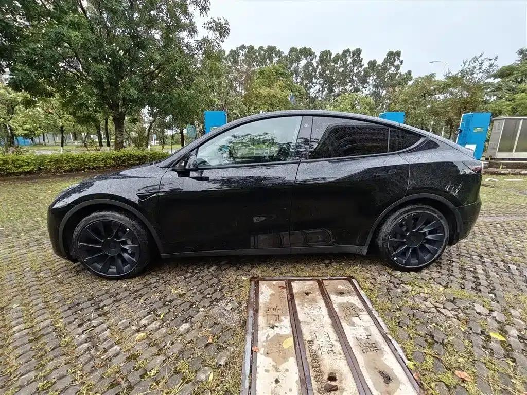 Model Y 2021 Standard Range Rear-Wheel Drive — миниатюра 3