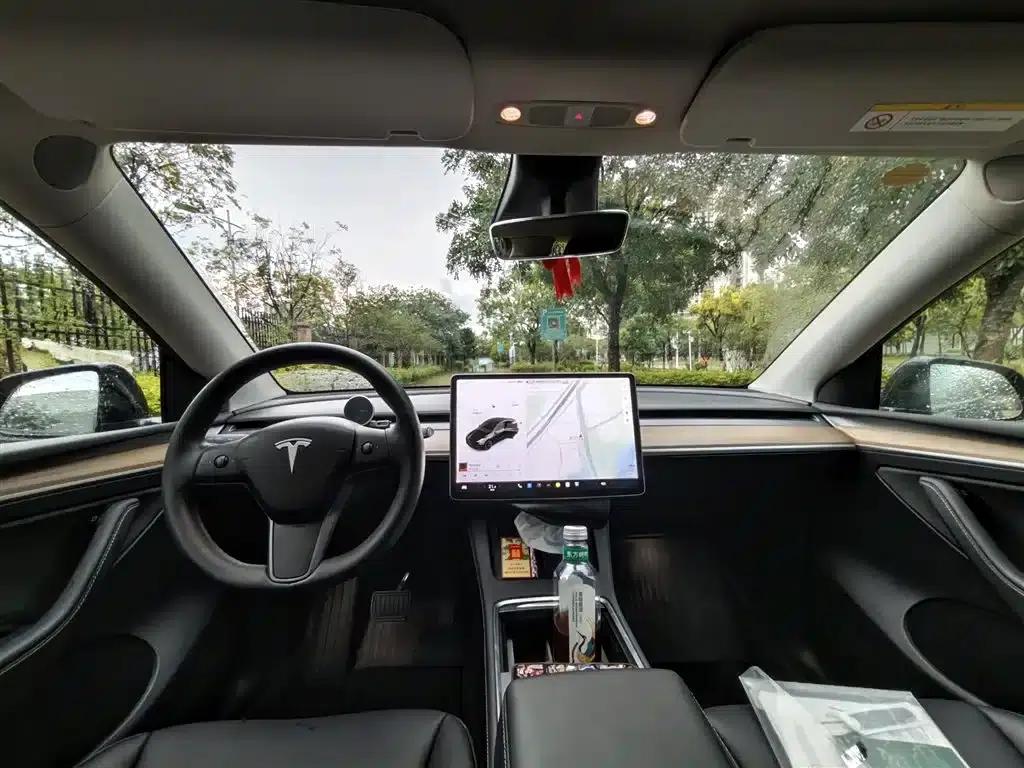Model Y 2021 Standard Range Rear-Wheel Drive — миниатюра 6