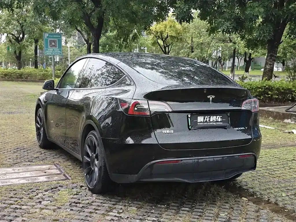 Model Y 2021 Standard Range Rear-Wheel Drive — миниатюра 7