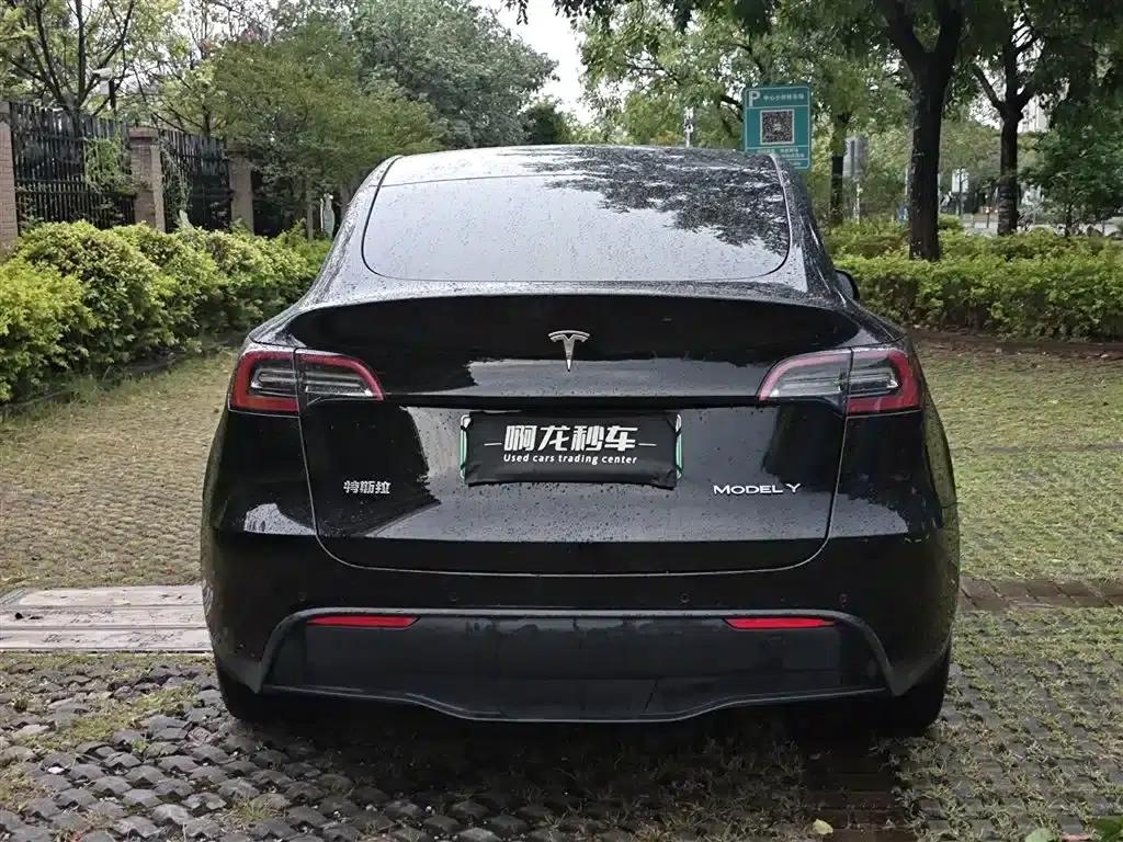 Model Y 2021 Standard Range Rear-Wheel Drive — миниатюра 8