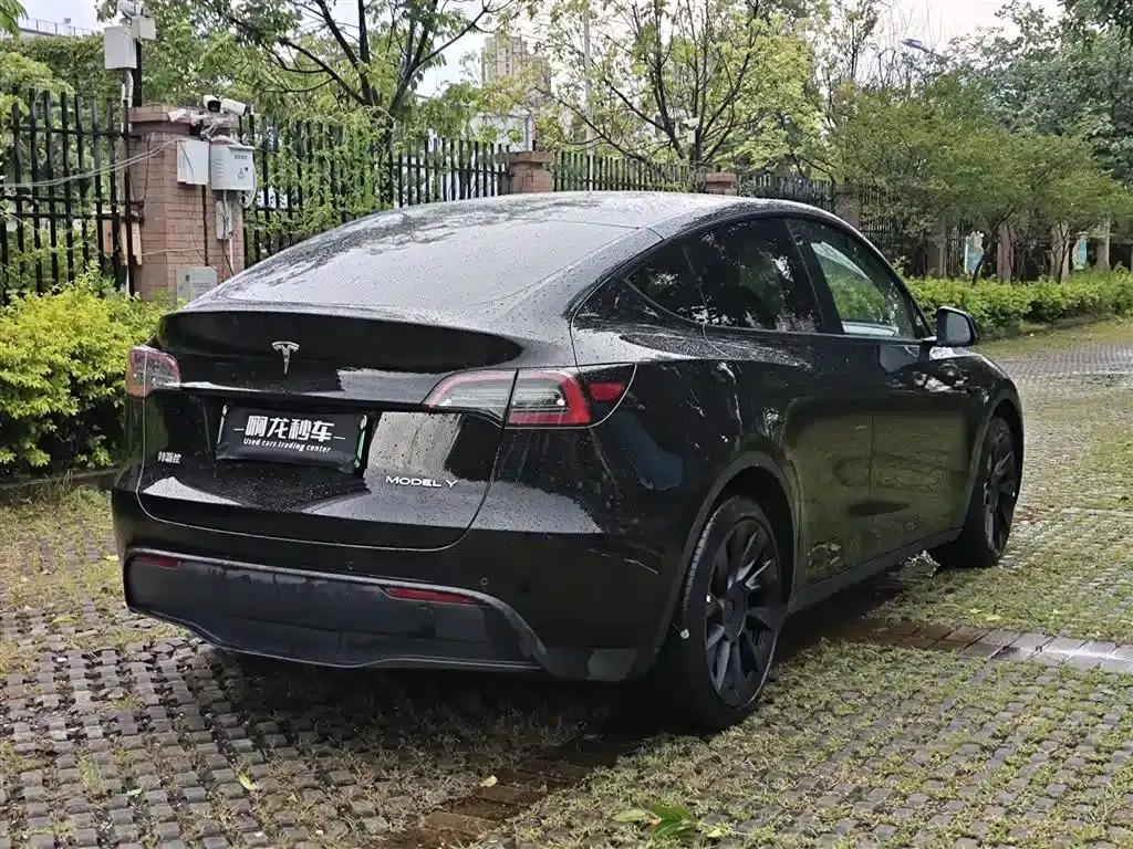 Model Y 2021 Standard Range Rear-Wheel Drive — миниатюра 9