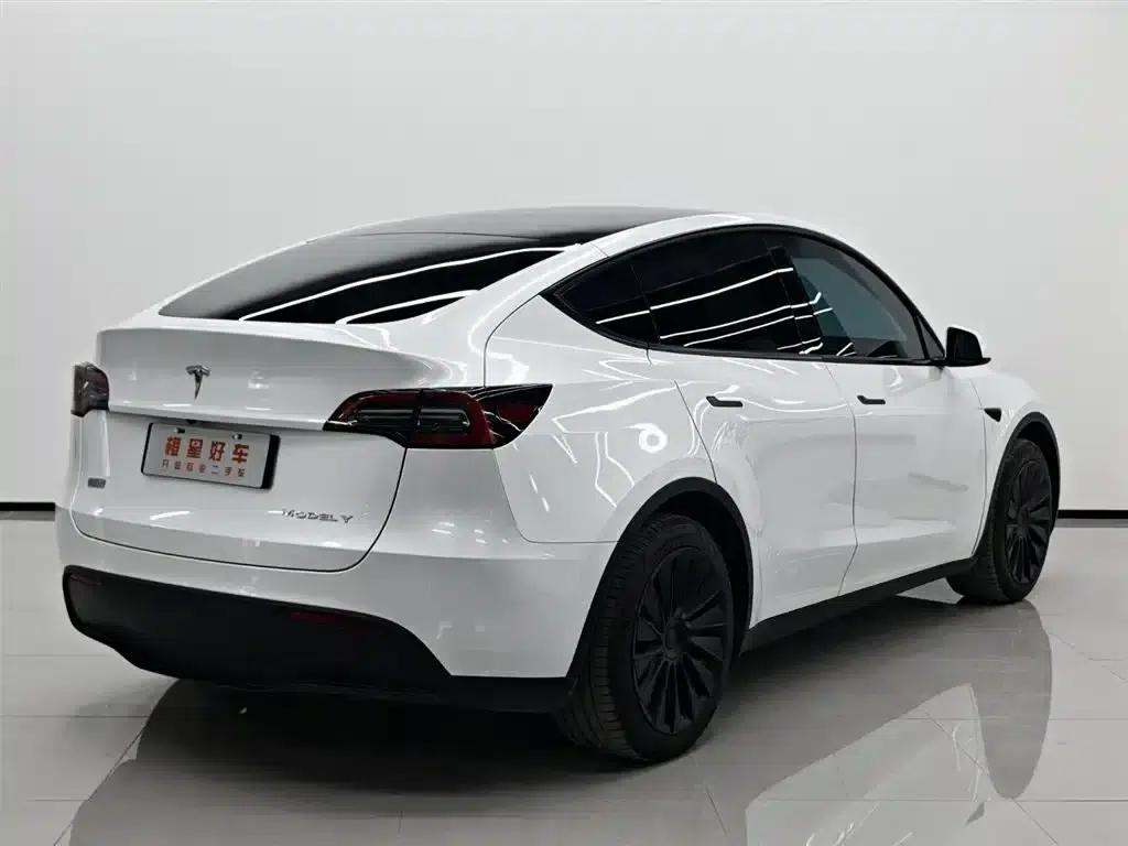 Model Y 2022 Rear-Wheel Drive — миниатюра 5