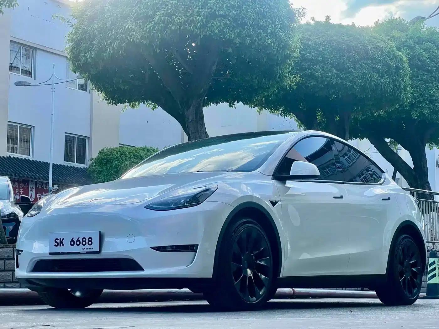 Model Y 2022 Long Range All-Wheel Drive — миниатюра 1