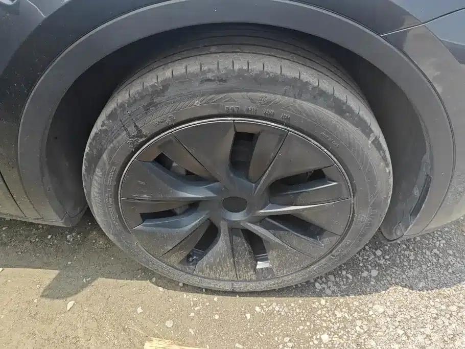 Model Y 2024 Rear-Wheel Drive — миниатюра 6