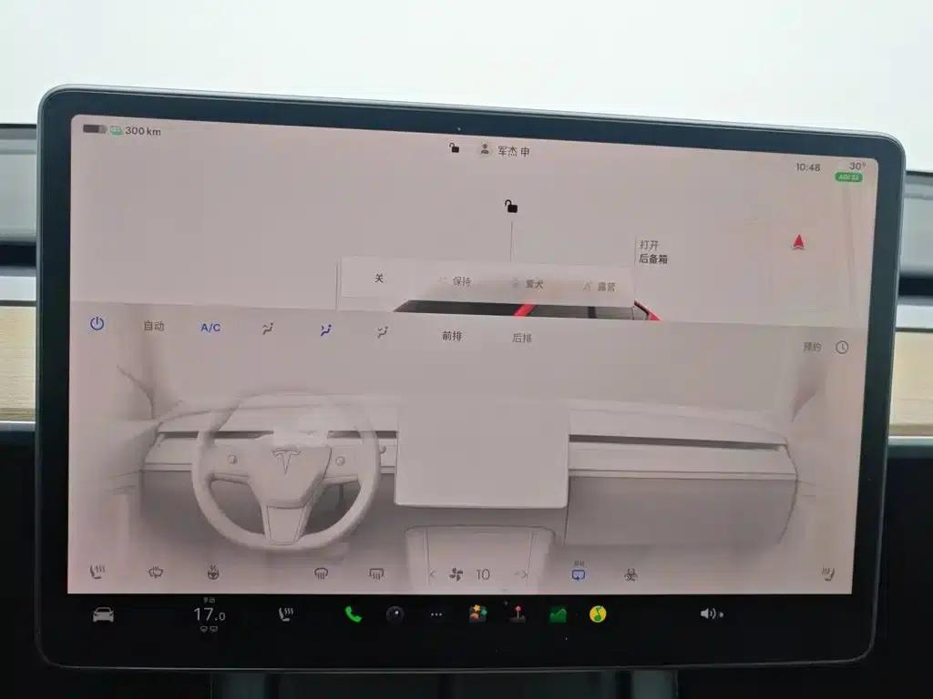 Model Y 2022 Rear-Wheel Drive — миниатюра 12