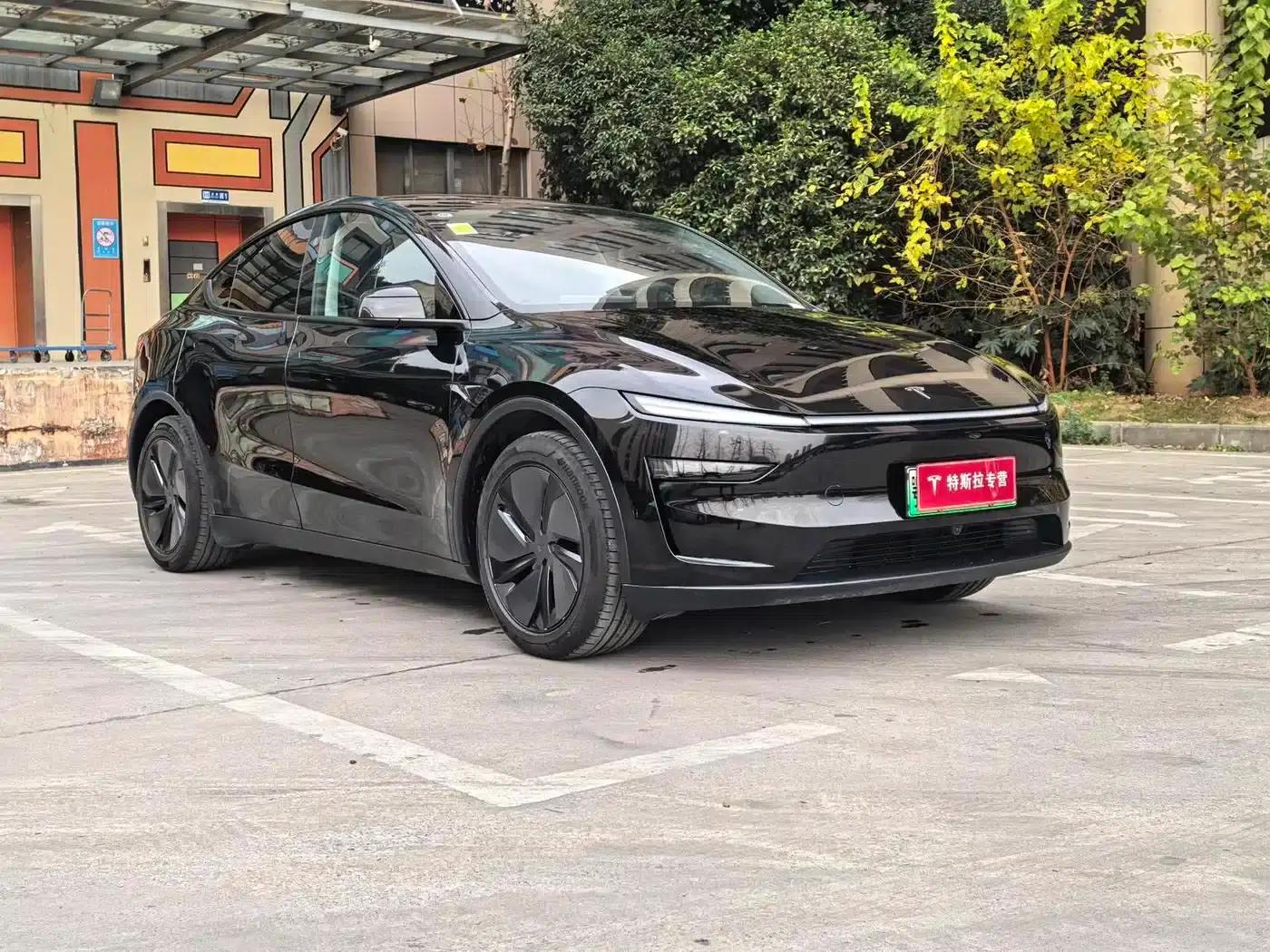 Model Y 2025 Rear-Wheel Drive — миниатюра 3