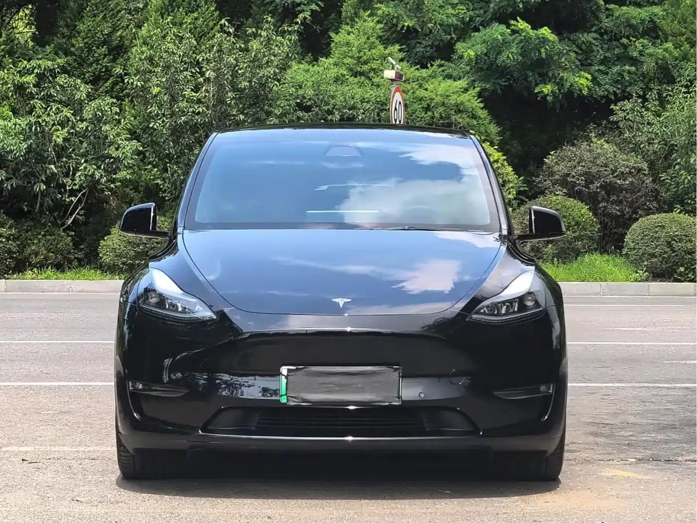 Model Y 2022 Long Range All-Wheel Drive — миниатюра 2
