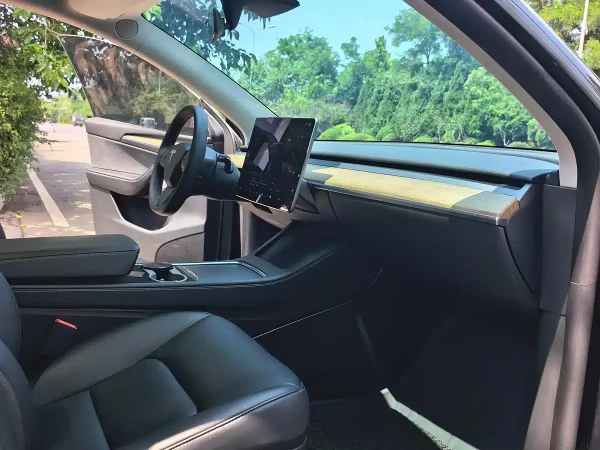 Model Y 2022 Long Range All-Wheel Drive — миниатюра 11
