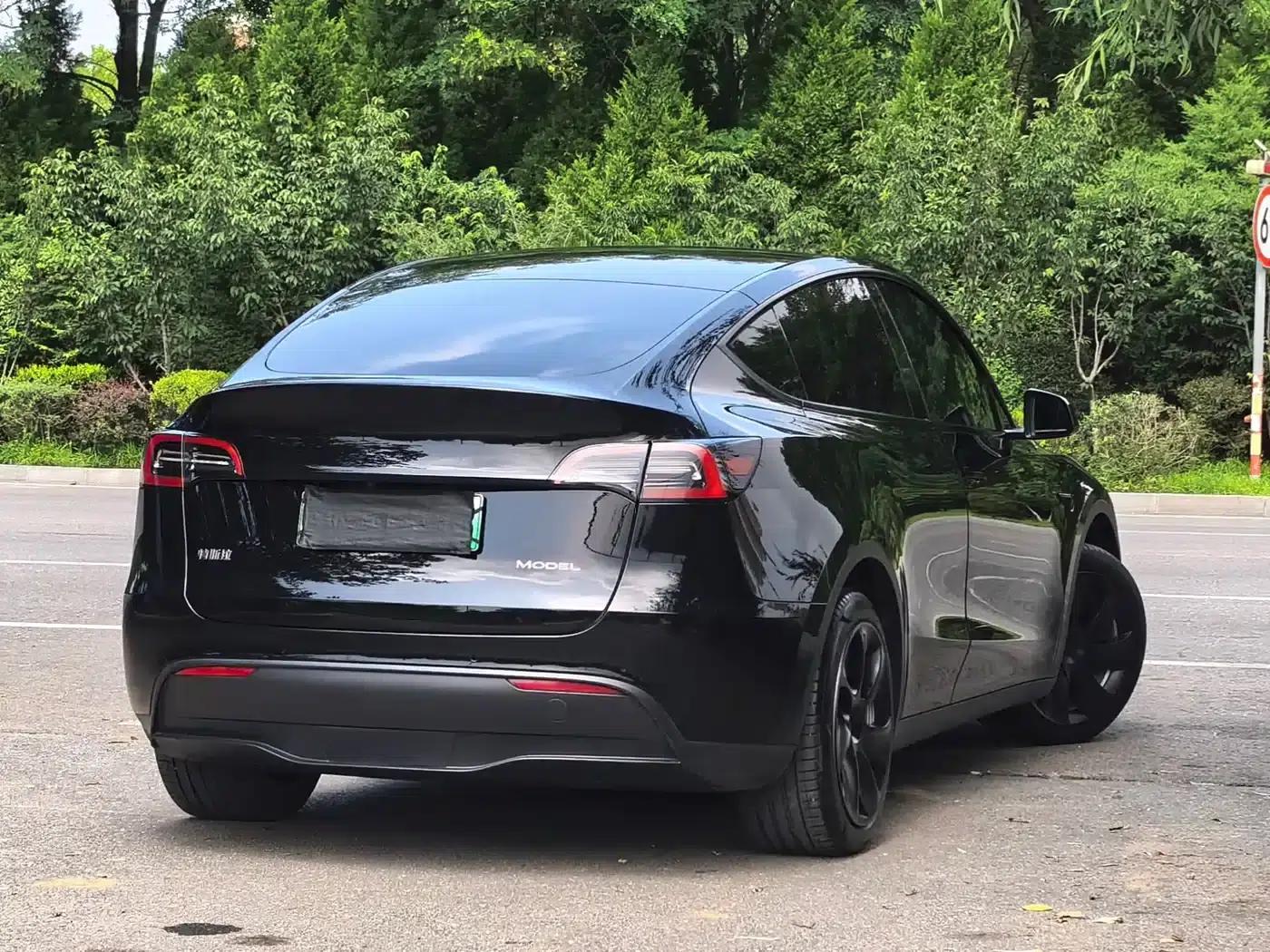 Model Y 2022 Long Range All-Wheel Drive — миниатюра 6
